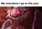Me everytime I go to the zoo: mematic & Tenor DJC 1171 411