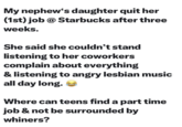 My nephew's daughter quit her (1st) job @ Starbucks after three weeks. She said she couldn't stand listening to her coworkers complain about everything & listening to angry lesbian music all day long. Where can teens find a part time job & not be surrounded by whiners?