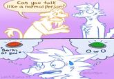 Can you talk like a normal Person? Barks at you Ο ω Ο @Toinga_ Luck Foxo 33