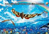 how life feel when you like Mothra