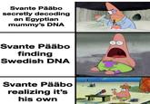 Svante Pääbo secretly decoding an Egyptian mummy's DNA Svante Pääbo finding Swedish DNA Svante Pääbo realizing it's his own 道