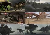 ALKING DINOSAURS MAMMALS VS DINOSAURS JURASSIC FIGHT CLUB PLANET DINOSAUR H HISTORY.COM NEHE DINOSAURS