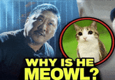 WHY IS HE MEOWL?