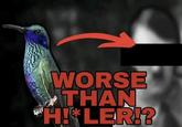 WORSE THAN H!*LER!?