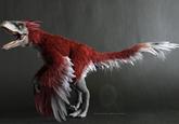 HIKIGANE CREATURES