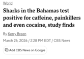World Sharks in the Bahamas test positive for caffeine, painkillers and even cocaine, study finds By Kerry Breen March 26, 2026 / 2:28 PM EDT / CBS News Add CBS News on Google