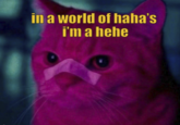 in a world of haha's I'm a hehe