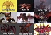 PRE-MUTATED FORM MICRO FORM JUVENILE FORM AGGREGATE FORM FLYING FORM PERFECT FORM 岁 CRAWLING FORM GENERATIONS FORM KING DESTOROYAH