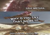 SAVE MOTHRA... WHY'D YOU SAY THAT NAME?!! 13 GUYS IM OK. PLS STOP
