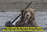 Interrupting the bearfolk druid's bath was the last mistake the bandits ever made. Imgflip.com