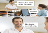 Pun Doctor, I've been bitten by a wolf. Where? PunHubOnline @Matthwillams No, just a normal one.