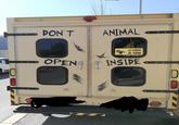 DON'T ANIMAL O OPENA ATTENTI AI CANI INSIDE 0