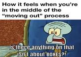 How it feels when you're in the middle of the "moving out" process Is there anything on that isn't about BOXES?!