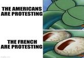 THE AMERICANS ARE PROTESTING THE FRENCH ARE PROTESTING imgflip.com
