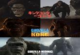 キングコング 対ゴジ GODZILLA IVS. KONG GODZILLA-KONG THE NEW EMPIRE