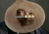 sonion