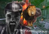 IT'S THE F------ LION RUN