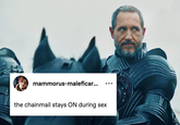 mammorus-maleficar... the chainmail stays ON during sex ...