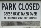 PARK CLOSED GEESE HAVE TAKEN OVER WE TRIED NEGOTIATING. THEY REFUSED.