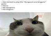 > Get invited to play this "Dungeons and dragons" game > Come > No dungeons > No dragons