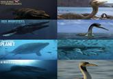 WALKING WITH DINOSAURS SEA MONSTERS A PREHISTORIC ADVENTURE PREHISTORIC PLANET THE DINOSAURS 42