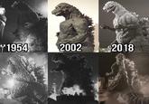 1954 2002 2018