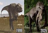 1999 2025