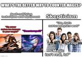 WHAT'S THE BETTER WAY TO COUNTER MAGES? Spell-nullifying techniques and equipment Skepticism "My armor makes me immune to your magic!" "Counterspell!" "Um, that's not how physics work" imgflip.com Cringe "Magic isn't real, lol"
