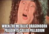 WHEN THE METALLIC DRAGONBORN PALADIN IS CALLED PALLADIUM imgflip.com