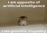 I am opposite of artificial intelligence I am genuine stupidity