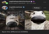 cephalopodvictorious Reblogged samitch 22 min ago cupidcosmos - 49 Follow 4. Mar Spot the difference (HARD)