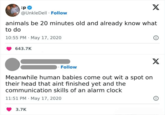:p X @UnkleDell Follow animals be 20 minutes old and already know what to do 10:55 PM May 17, 2020 643.7K Follow Meanwhile human babies come out wit a spot on their head that aint finished yet and the communication skills of an alarm clock 11:51 PM May 17, 2020 3.7K X