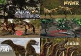 PREHISTORIC PLANET WALKING WITH DINOSAURS PREHISTORIC PARK DINOSAURS