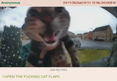 Anonymous 04/11/26(Sat) 18:51:10 No.84340816 340 KB PNG >OPEN THE F------ CAT FLAP!!