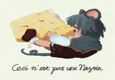 EF NE Ceci n'est pas une Nazrin