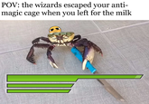 POV: the wizards escaped your anti- magic cage when you left for the milk