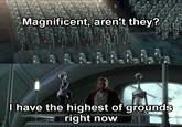 Magnificent, aren't they? I have the highest of grounds right now