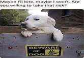 Maybe I'll bite, maybe I won't. Are you willing to take that risk? BEWARE OF DOG