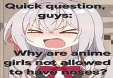 Quick question, guys: Why are anime girls not allowed to have noses?