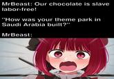 MrBeast: Our chocolate is slave labor-free! "How was your theme park in Saudi Arabia built?" MrBeast: