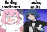 Handling Handling compliments insults 1-47 ガッコ