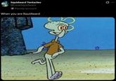 Squidward Tentacles @LocalSquidward Parody account When you are Squidward 0 ...