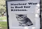 Nuclear War is Bad for Kittens.