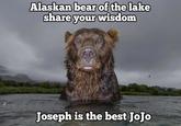 Alaskan bear of the lake share your wisdom Joseph is the best JoJo