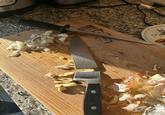 scel Cook