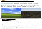 #stopvegans these pictures were taken just 2 years apart. vegans are eating ALL of our grass. we need to stop them. As a vegan this is highly incorrect but at the same time it's quite funny since the animals you guys eat, eat more food and drink more water than us humans consume. So please don't post this stuff, it's quite offensive and I bet you wouldn't like being made fun of because of your beliefs.