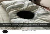 First ever picture taken of a black hole in a visible light spectrum. No this is a cat