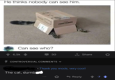 He thinks nobody can see him. Can see who? 6.5k 50 ↑ Share CONTROVERSIAL COMMENTS The cat, dumb • Thank you mods, very cool! ◆ Reply -7->