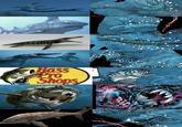 Bass Pro Shops