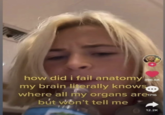 how did i fail anatomy 396.6K my brain literally knows.... where all my organs are 1716 but won't tell me 12.2K